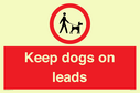 dogs-on-lead-symbol-with-black-text-on-white-background~